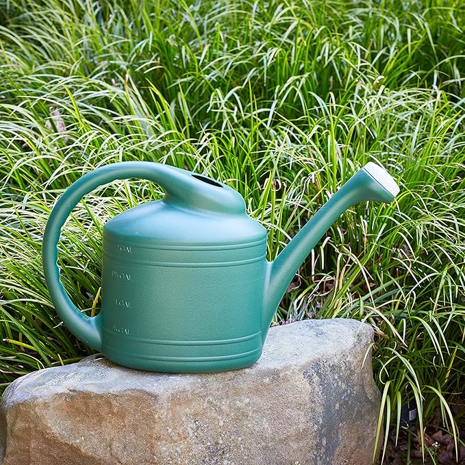 Southern Patio Large 2 Gallon Plastic Rainfall Garden Plant Watering Can, Green