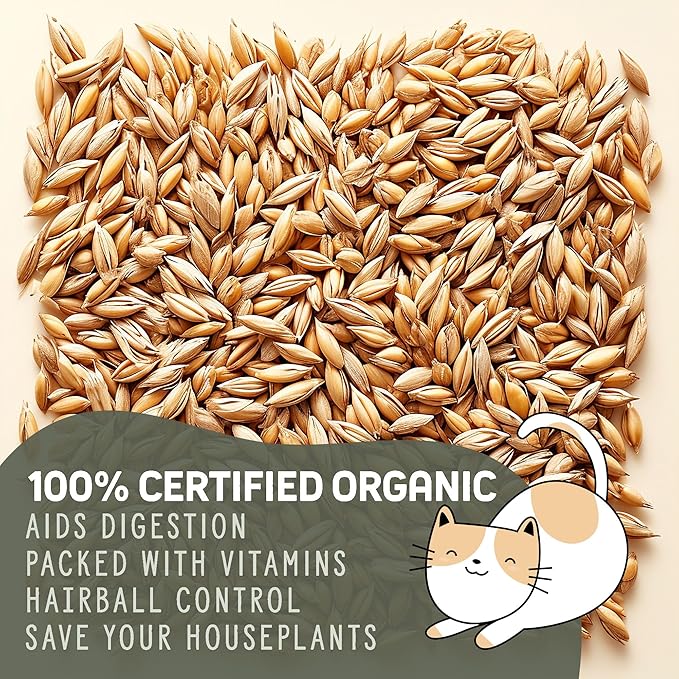 Whetagrass Kits (Wheatgrass Seed 16oz)