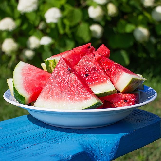 Organic Watermelon Seeds (Crimson Sweet) - Approx 12 Seeds - USDA Organic, Non-GMO, Open Pollinated, Heirloom, USA Origin (Pack of 2)