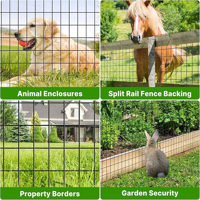 Welded Wire Fence 4.7 ft X 50 ft Mesh Size 2-Inch x 3-Inch Wire Mesh Roll Chicken Metal Fencing Poultry Netting for Poultry Fence, Border Fencing (USE 6 FT Post)