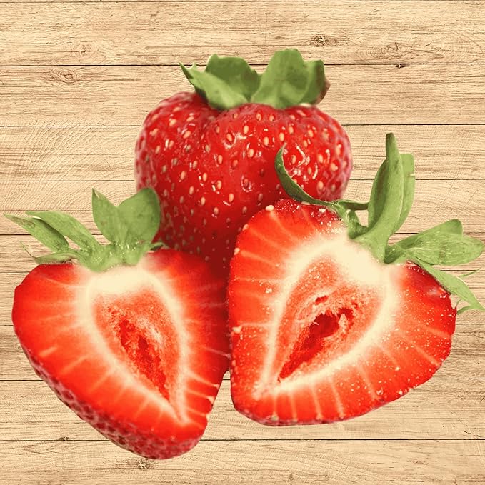 Albion Day Neutral Strawberry Plants - Large Berries and High Yields - Bare Root Strawberry Plants from Hand Picked Nursery (10)