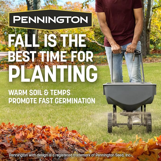 Pennington Kentucky 31 Tall Fescue Penkoted Grass Seed 3 lb