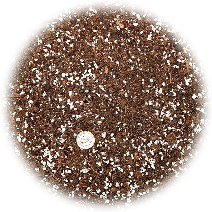 Gardenera Premium House Plant and Tropical Plant Potting Soil - Re-Potting Soil for All Types of Indoor House Plants - 2 Quart