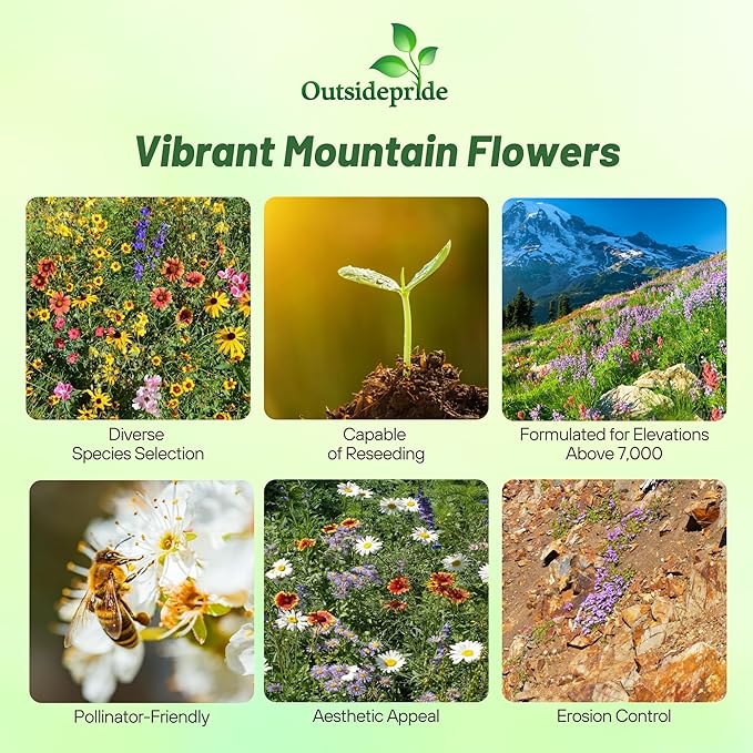 Outsidepride Mountain Wild Flower Seed Mix - 1 lb Premium Blend of Annual & Perennial Wildflower Seeds for High-Elevation in USDA Zones 3-8, Ideal for Mountain Gardens, Low-Maintenance & Easy to Grow