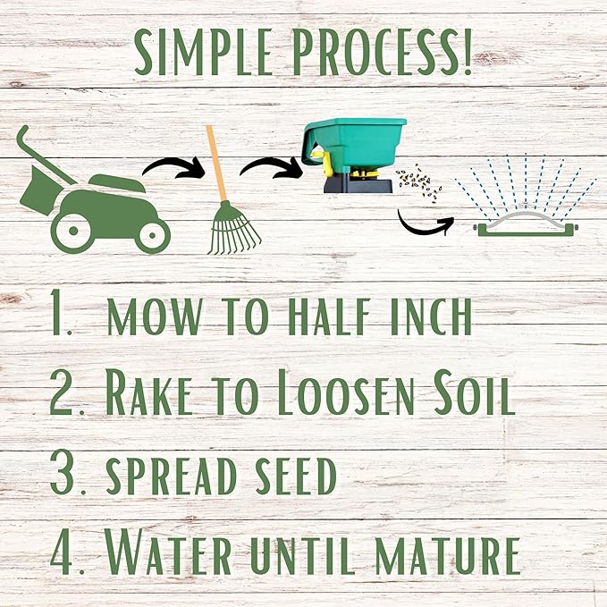 Flawn Seed Kits Mow Less Fine Fescue Eco-Grass Seed, 4 Lbs, Low Maintenance Lawn, Resealable Pail with Handle, Covers up to 2000 Sqft