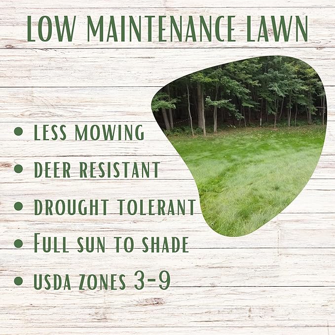 Flawn Seed Kits Mow Less Fine Fescue Grass Seed, Low Maintenance Lawn, Shake to Spread, 2 Lbs Covers up to 1000 Sqft