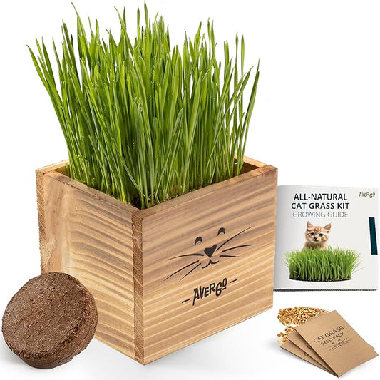 Cat Grass Kit for Indoor Cats – x2 Seed Packets | Cat Grass Seeds with Wooden Planter & Soil – Pet Wheatgrass Grass