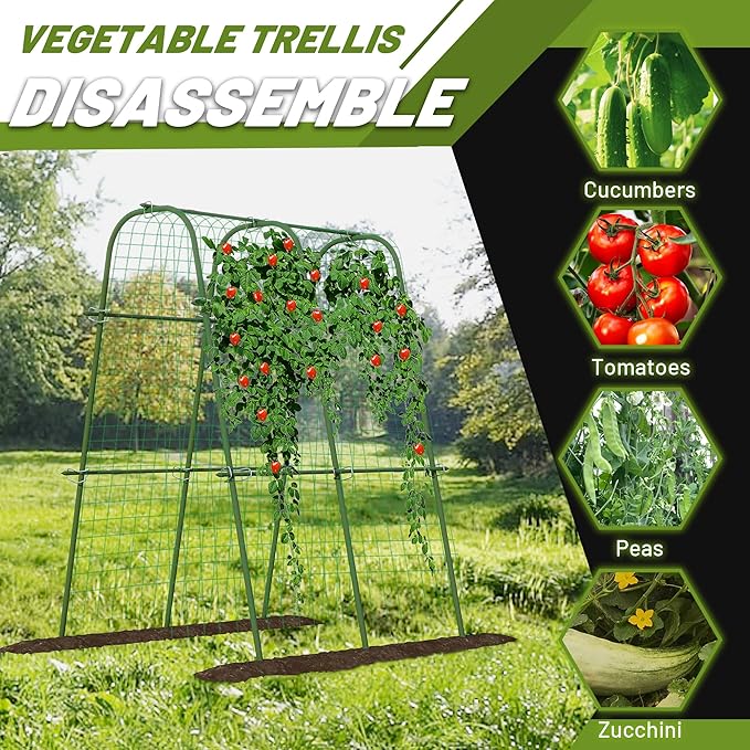 Extra Tall Metal Arch Trellis, 71X71 inch U-Shape Garden Trellis with Netting, Rust-Resistant PE Coated Steel Cucumber Trellis for Raised Bed, Vegetables, Fruits, Beans, Green