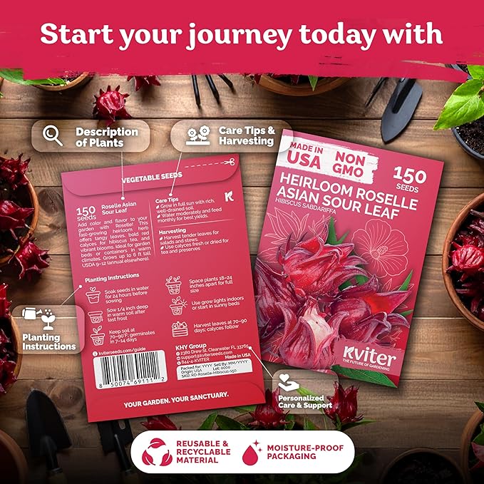 KVITER 150 Roselle Seeds for Planting (Hibiscus Sabdariffa) – Jamaican Sorrel/Cranberry Hibisco Seeds/Gongura Seed/Sour Leaf Seed – Perfect for Hibiscus Tea Organic, Outdoor & Indoor Garden
