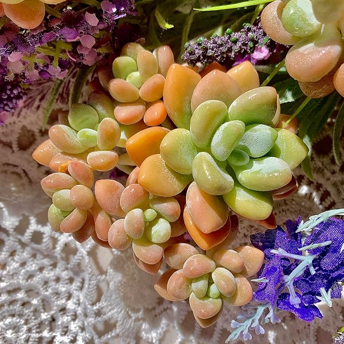 Graptosedum Miul Succulent Plants Live – Rare Hybrid Succulent, Easy Care Indoor Outdoor Plant for Home, Garden, Terrarium & Gift