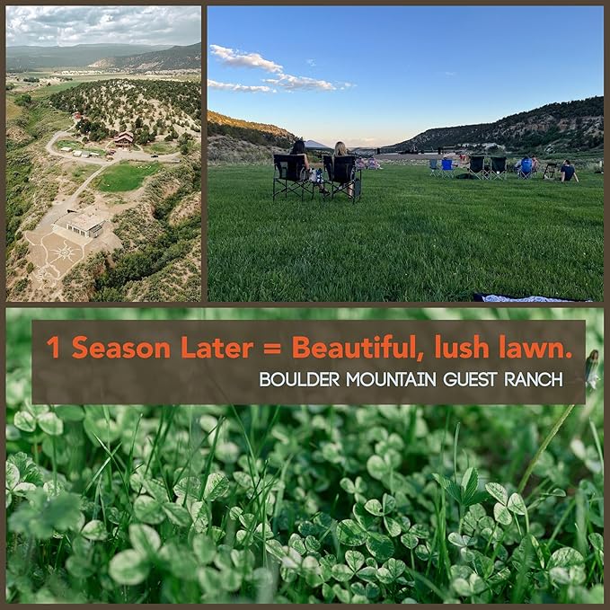 Micro Clover Seed for Lawn - 5 Lb Bulk - ~2 Million Microclover Seeds for Planting - Drought-Tolerant Mini Grass Alternative by Mountain Valley Seed Company