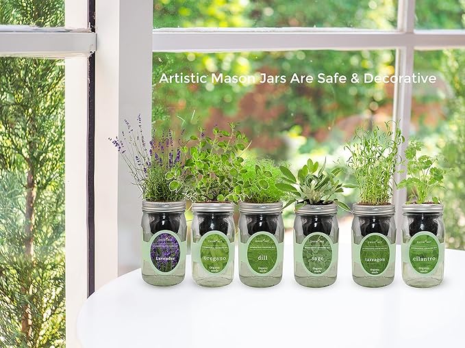 Hydroponic Herb Growing Kit Set, Self-Watering Mason Jar Herb Garden Starter Kit Indoor, Windowsill Herbs Garden, Grow Your Own Herbs from Organic Seeds (Basil, Mint, Parsley)