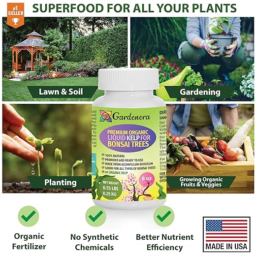 GARDENERA Premium Organic Seaweed & Kelp Superfood for Bonsai Trees Plants - 32 oz - Liquid Kelp Fertilizer Concentrate (Makes 180 Gallons)