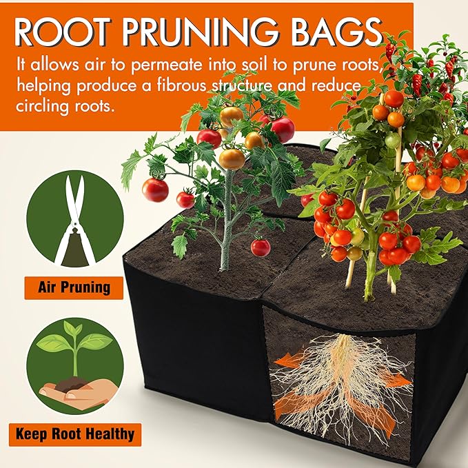 Gardzen 2 Pack Fabric Raised Garden Beds, 2x2x1 FT – 4 Grids Grow Bed for Square Foot Gardening, Planting Box for Vegetables, Herbs, Flowers