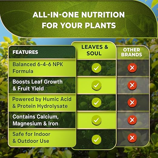 Leaves and Soul Professional Lime Tree Fertilizer Liquid Concentrate - 6-4-6 Blend for Fruit Tree Fertilizer, Garden - Liquid Plant Food for Lime Trees in Pots or Outdoors - 8oz