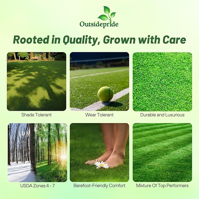 Outsidepride Showtime Perennial Lawn Grass Seed Mix - 10 lbs. Premium Blend of Creeping Red Fescue, Rye Grass & Kentucky Bluegrass Seed for Sports Fields, OptiGrowth Coated for Better Establishment