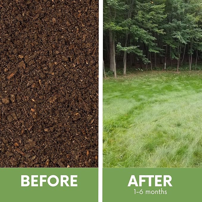 Flawn Seed Kits Mow Less Fine Fescue Grass Seed, Low Maintenance Lawn, Shake to Spread, 2 Lbs Covers up to 1000 Sqft