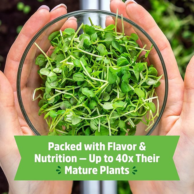 Back to the Roots Organic Microgreens Grow Kit with Ceramic Planter, Expandable Soil, Organic Seeds, and Germination Lid