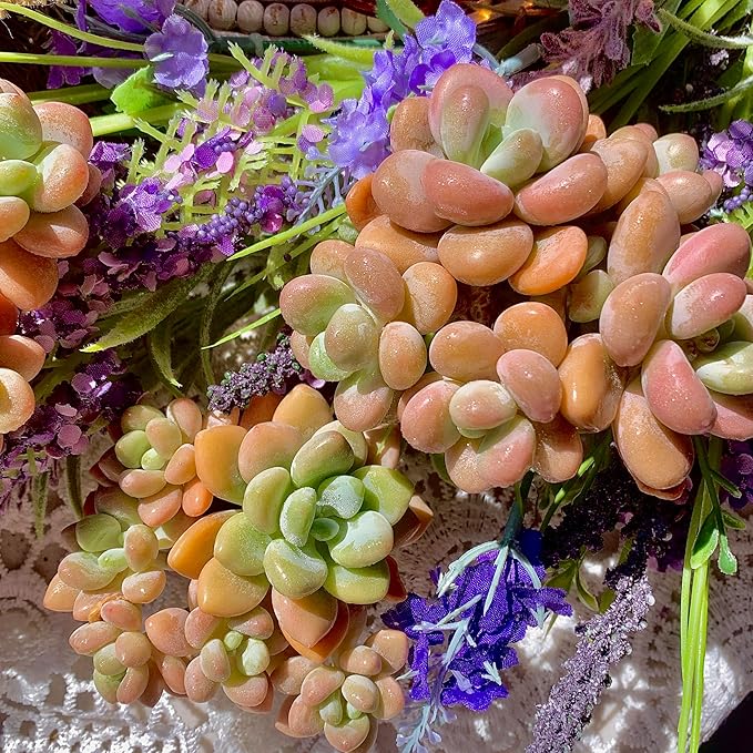 Graptosedum Miul Succulent Plants Live – Rare Hybrid Succulent, Easy Care Indoor Outdoor Plant for Home, Garden, Terrarium & Gift