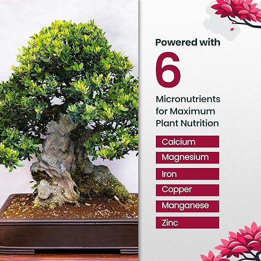 32oz Bonsai Tree Live Liquid Plant Food - Makes 64 Gallons of Bonsai Fertilizer Liquid, Premium Macronutrient Formula Enriched with Micronutrients for Healthy Roots, Branching & Foliage
