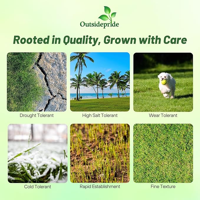 Outsidepride Rescape Seashore Paspalum Turf Grass Seed - 2 lbs. Warm Season, Salt & Drought Tolerant Dense Lawn Grass Seed, Perfect for Erosion Control, High Traffic Fields, Beaches, & Coastal Areas