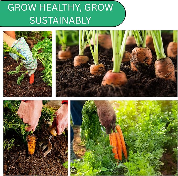 Woods Creek Seeds: Little Fingers Carrot Seeds for Planting - Over 2,800 Heirloom Carrot Seed Pack - Non-GMO Carrots Seeds for Planting Outdoors or Indoors - Beginner Friendly Vegetable Gardening