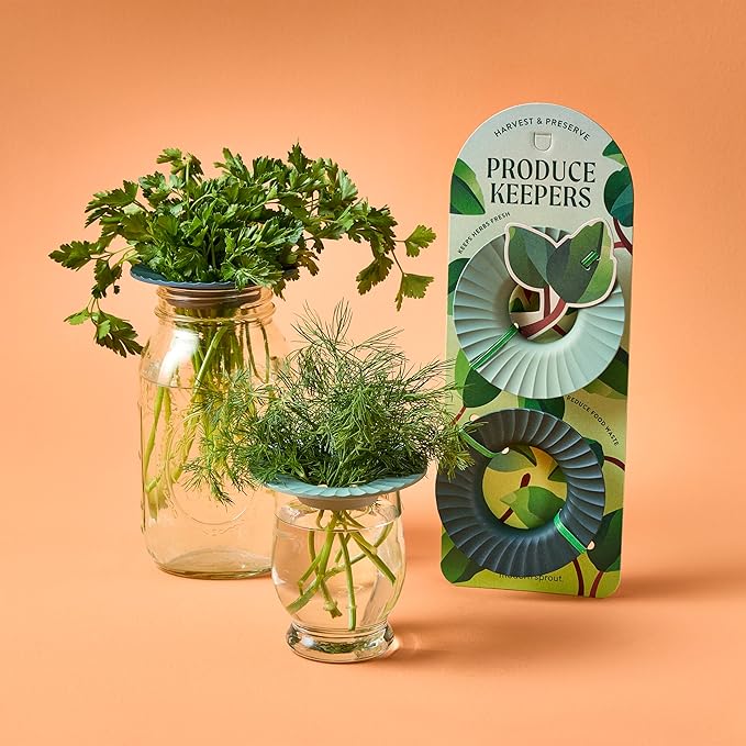 Modern Sprout Botanical and Produce Keeper for Floral Arranging, Herb Keeping, and Plant Propagation - Food Safe and BPA-Free, Sustainable Materials, Hydration Tray - Extends Freshness - 2 Pack