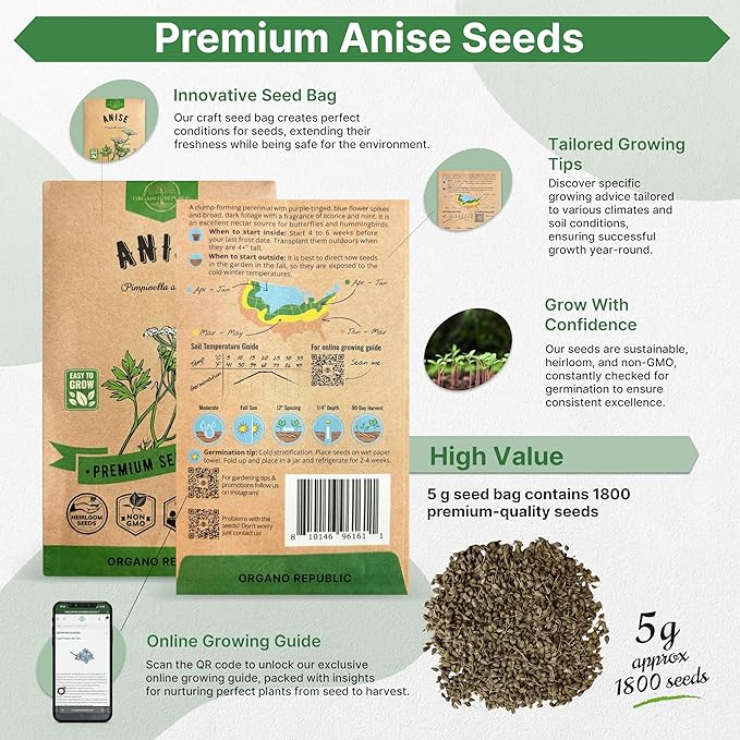 Organo Republic Anise Seeds Pack 5G - Over 1800 Non-GMO Heirloom Anise Seeds for Planting Herbs in Individual Seed Packet, Herbs Seeds for Planting Home Garden Indoor & Outdoor Gardening