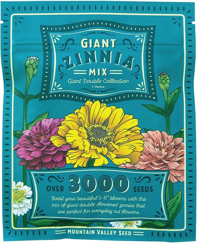 Zinnia Seeds for Planting Outdoors – 3,000 California Giant Mix Zinnia Seeds – 4 ft Tall Zinnia elegans Annuals – Bright Wildflower Blooms Attract Pollinators – Heirloom Garden Flower Seed Packet