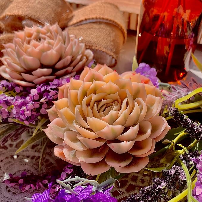 Echeveria Onslow Variegated Succulent Plants Live – Unique Rare Succulent for Indoor Planters, Outdoor Garden, Office Desk & Gifts
