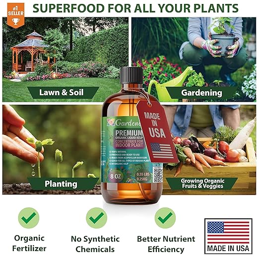 GARDENERA Premium Organic Seaweed & Kelp Superfood for CALATHEA Plants - 32 oz - Liquid Kelp Fertilizer Concentrate (Makes 180 Gallons)