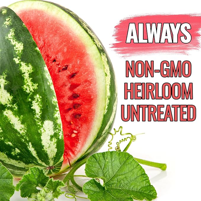 Seed Needs Watermelon Seeds for Planting Crimson Sweet Watermelons - Non-GMO Heirloom & Untreated - Grow an Outdoor Home Grown Garden Filled with Sweet Fruits (1 Pack)