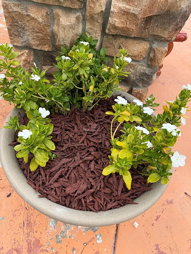 – 100% Wire-Free Premium Grade Shredded Rubber Mulch for Playgrounds & Landscaping | Safe for Kids & Pets, No Replacement Needed, Ultra Durable | Red, 10 lb (0.6 cu ft)