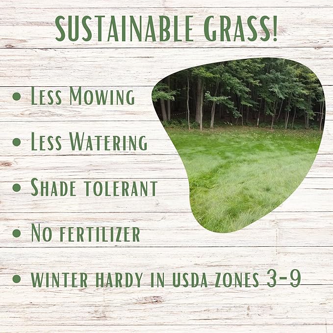 Flawn Seed Kits Mow Less Fine Fescue Grass Seed, Low Maintenance Lawn, Easy Spread Shaker Jug with Handle, 2 Lbs Covers up to 1000 Sqft