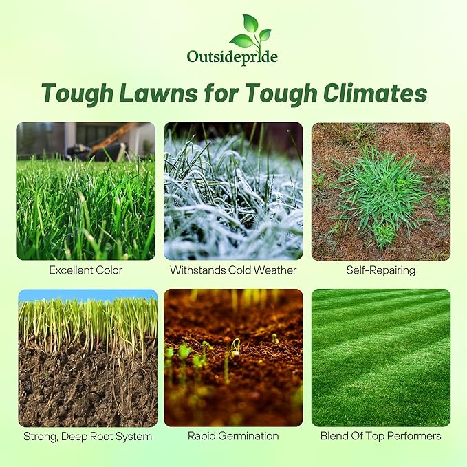 Outsidepride Combat Extreme Northern Zone - 25 Lbs Cold-Hardy, Drought-Resistant Turf Type Tall Fescue & Kentucky Bluegrass Lawn Grass Seed Blend, OptiGrowth Coated for Better Establishment