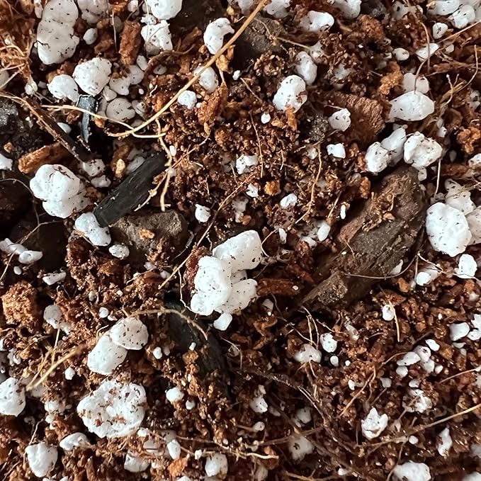 rePotme ZZ Plant Potting Soil - Imperial Houseplant Mix - Junior Bag (4 Quarts) - Great Potting Mix for Indoor Plants