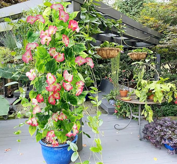 FERIAL Artificial Vines Rosered Morning Glory Vine Artificial Flowers Hanging Plants Garland Fake Green Plant for Wall Fence Indoor Wedding Banquet Decor