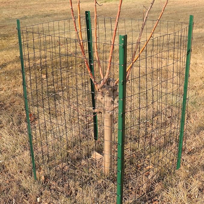 Black PVC Coated Welded Wire Fence 36 Inch x 50 Foot, 2 Inch x 3 Inch 16GA, Garden Border Fencing Roll Vinyl Coating Metal Wire Mesh for Yard Vegetable Plant Protection Poultry Netting
