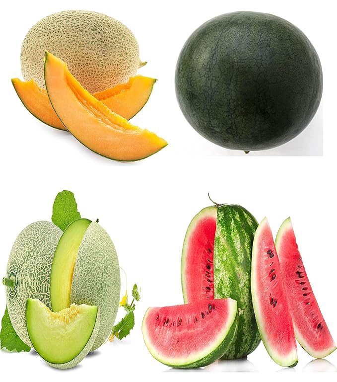 Melon Seeds Variety Pack for Planting – 4 Non-GMO Heirloom Varieties: Crimson Sweet & Sugar Baby Watermelon, Honeydew, Hale's Best Jumbo Cantaloupe – High Germination, USA-Grown Garden Fruit Seeds