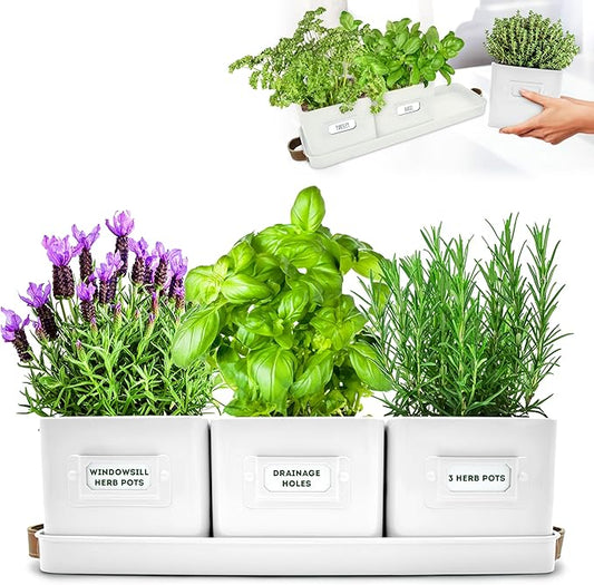 volila Herb Planter Indoor - Set of 3 Warmstone Indoor Herb Garden Pots for Plants with Leather Handled Tray - Window Sill Plant Shelf - Herb Pots with Drainage Holes and Labels