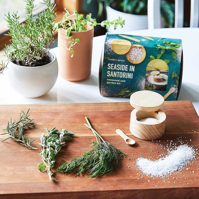 Modern Sprout Travel Trio Seaside in Santorini; Travel-Inspired Seed Kit with Salt Cellar, Organic Seed Starting; Gardening Gift (Seaside in Santorini)