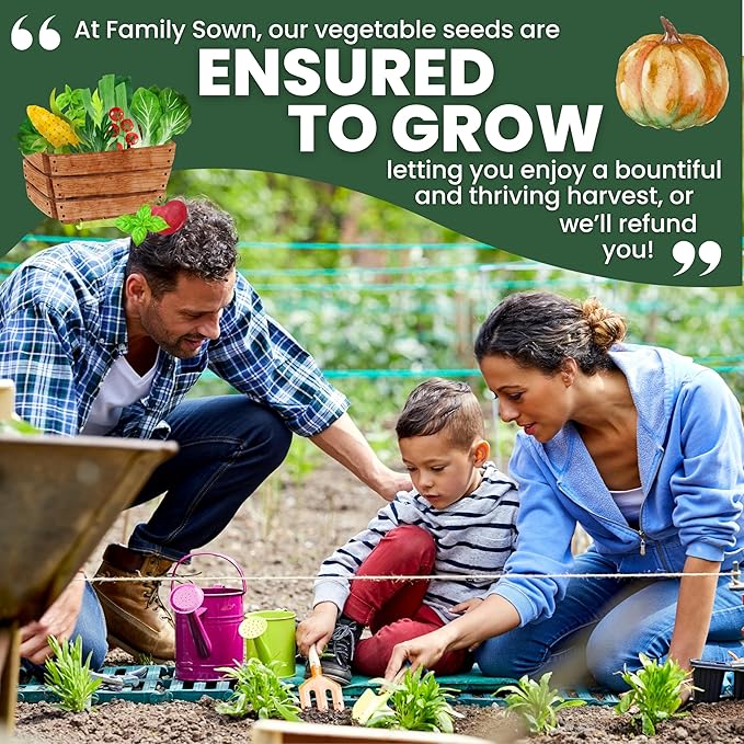 35 Vegetable Seed Packets | Survival Variety Pack | 2025 Season | Individually Packed Vegetables, Herbs and Fruits | Emergency Seed Vault for Doomsday Prepping | by Family Sown