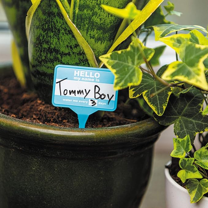 Plant Name Badges - Wipeable Labels for House Plants - Home Accessories - x 12 100% Recycled Name Tags for Indoor Plant Pots - Pen Included