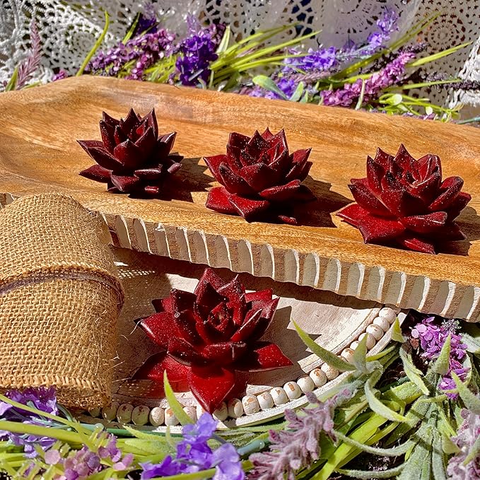 Succulent Plants Live Echeveria Agavoides v. Romeo Rubin – Easy Care Bare Root Succulents for Indoor Outdoor Decor, Mini Live Plants for Home, Garden, Office, & Gift Ideas