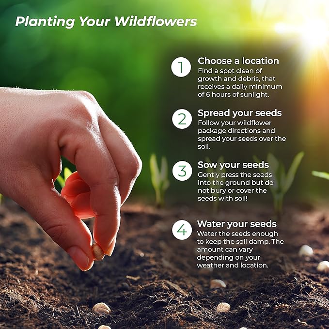 Created By Nature All-Annual Wildflower Seed Mix, 21 Varieties, 46,000 Wildflower Seeds