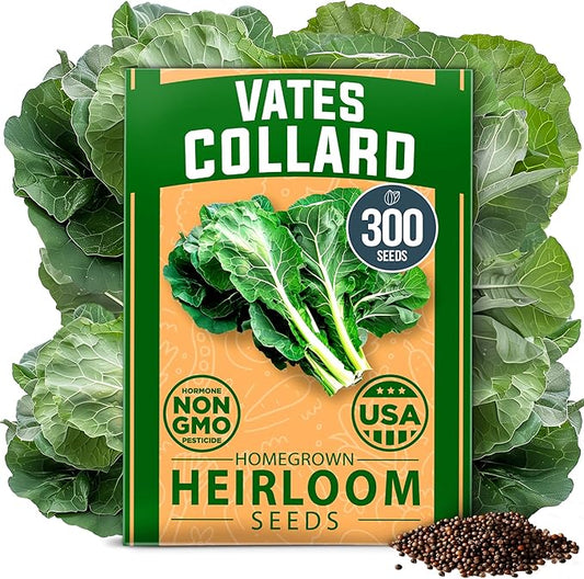 HOME GROWN Collard Green Seeds - 300 Seeds for Fall Planting - High Germination Heirloom Vegetable Seeds, Vates Collard Greens Seed Pack (Brassica oleracea)