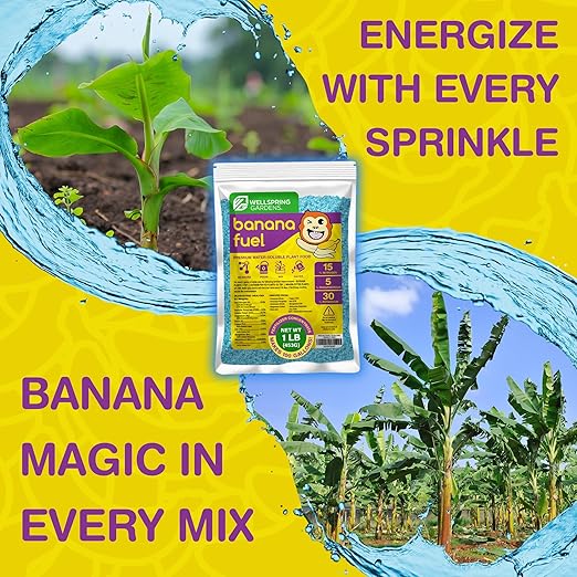 Wellspring Gardens Banana Fuel Fertilizer - Water-Soluble 15-5-30 Blend - Banana Plant Fertilizer - Plant Food - Formula for Banana Trees & Plants - Grow Healthy and Happy Plants (1 Pound)