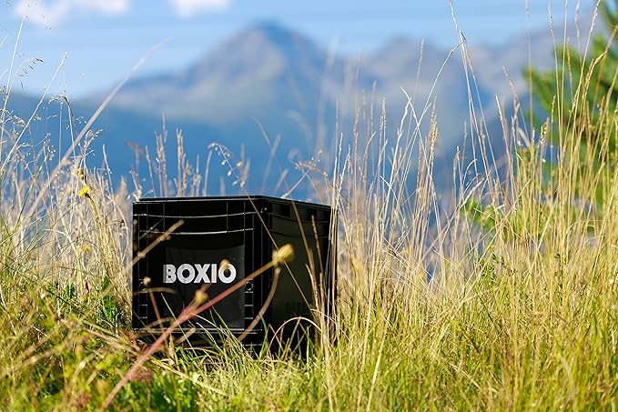 BOXIO Solo: Storage box with lid – 15.7" x 11.8" x 11.0" – perfect plastic transport box for camping, boat or garden – stackable with other stacking boxes – Made in Germany