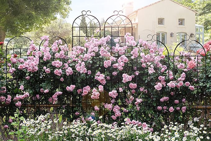 LZRS 2 Pack 87x20in Rustic Iron Arch Decoration Garden Trellis with Black Metal Coating – Perfect for Supporting Climbing Plants Outdoor, Roses, Vines, Flowers, and Vegetables.
