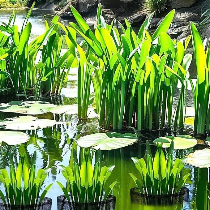 EBaokuup 4 Pcs Aquatic Planting Bags - 7" Reusable Mesh Water Garden Pond Plant Pot - Breathable Square Lily Pots for Bog and Terrestrial Plants